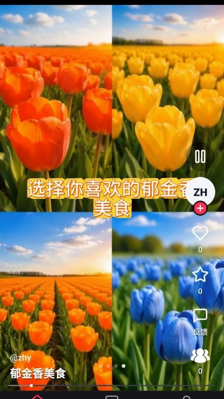 ����ʰȤ2026���°汾v1.0.0 ��׿��