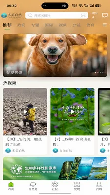 多美自然2026最新版本 多美自然2026最新版本