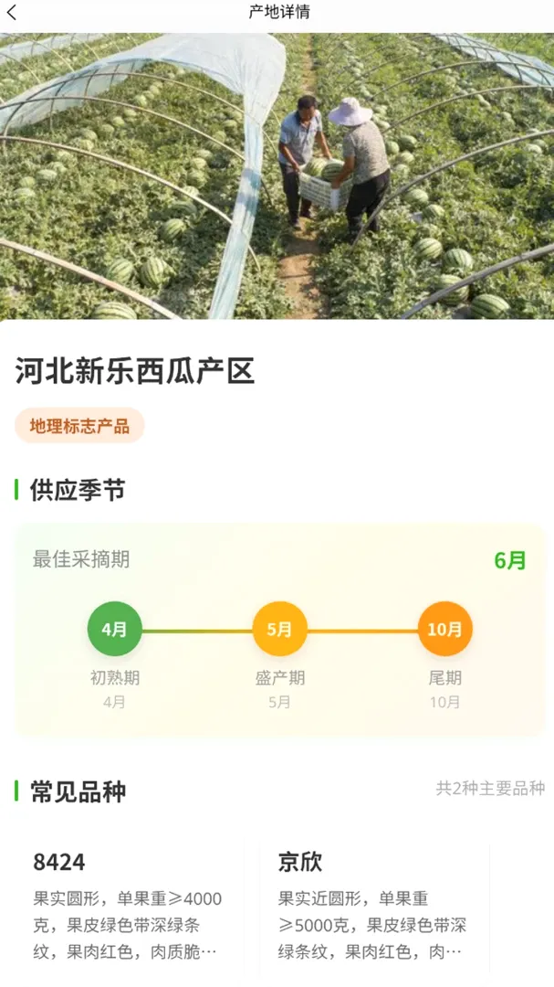 菜查查 菜查查