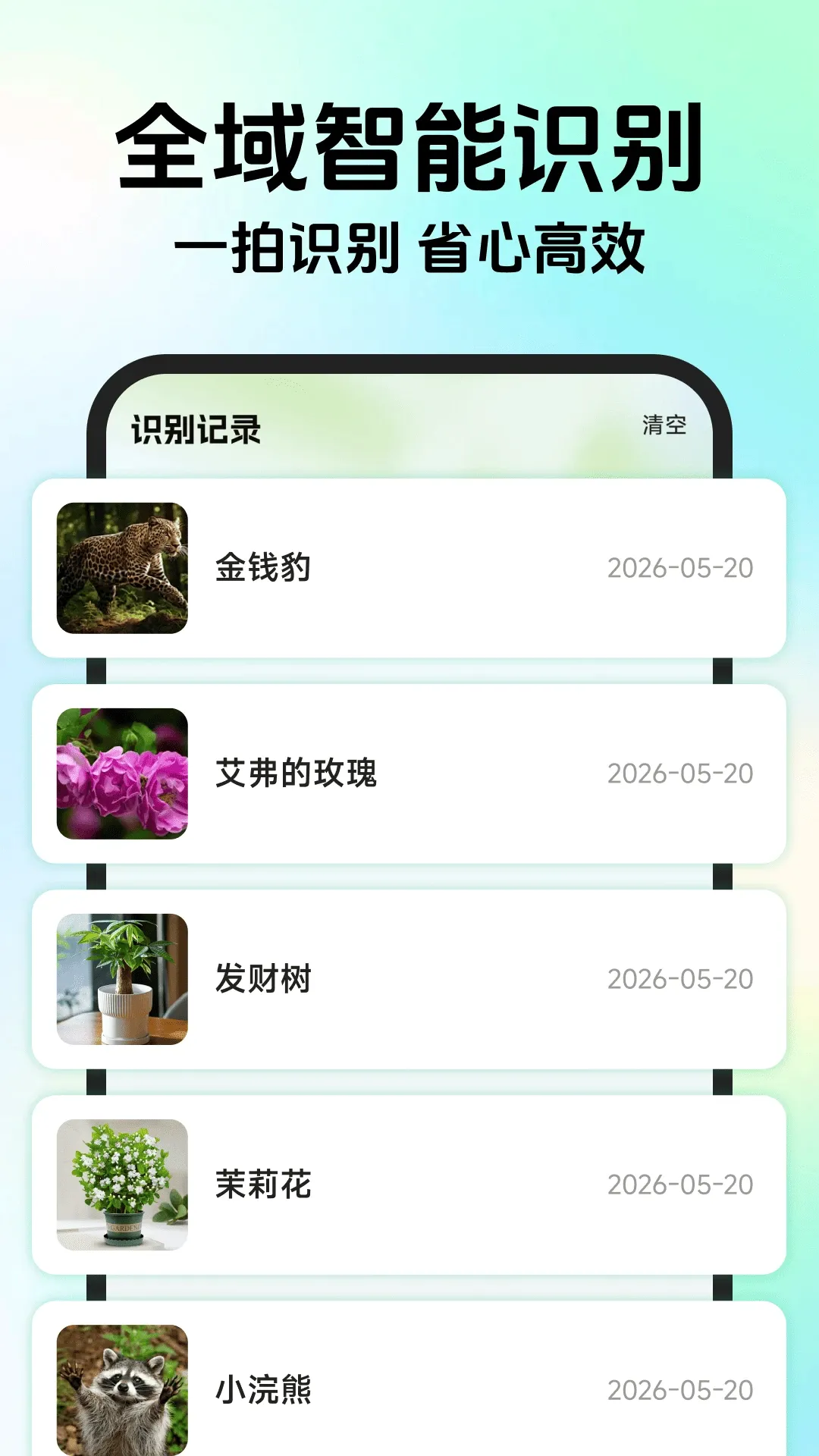 ����ʶ����v1.0.5 �ֻ���