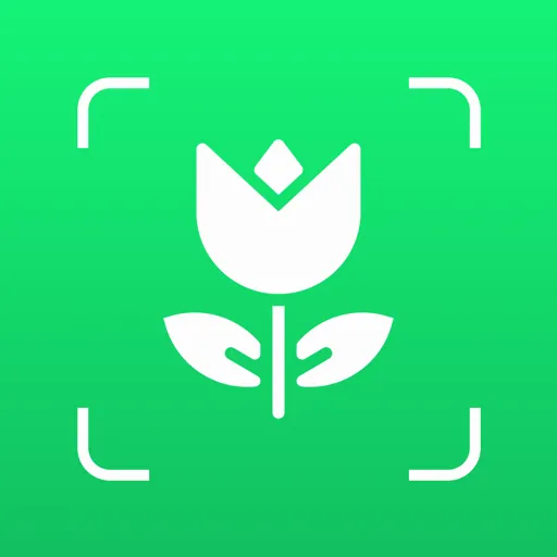 ����ʶ����v1.0.5 �ֻ���