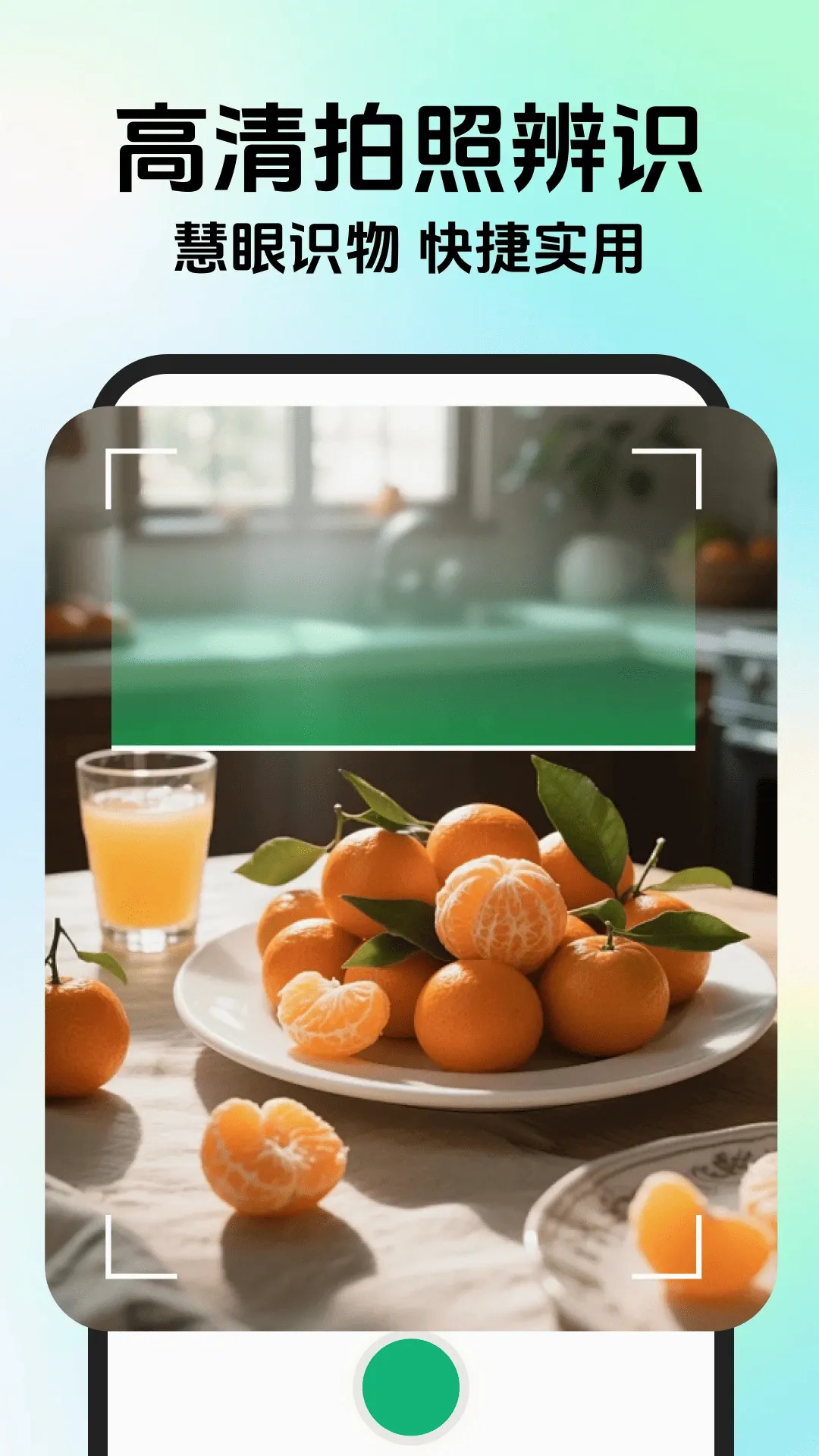����ʶ����v1.0.5 �ֻ���
