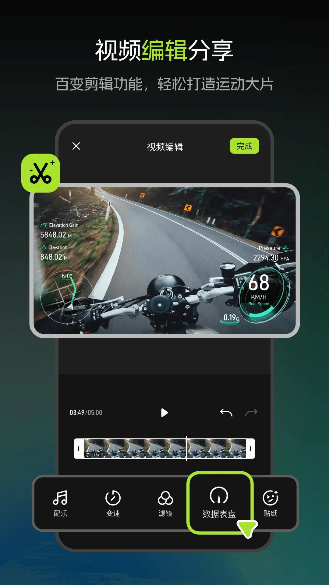 觅豹 觅豹