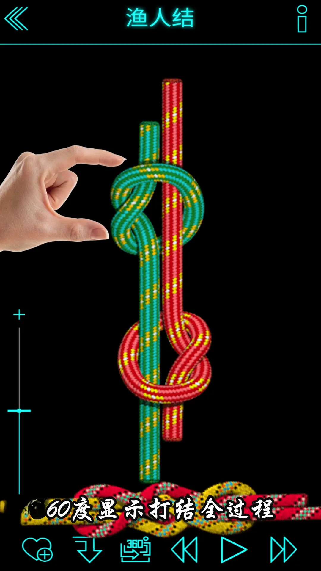 绳结模拟助手3D 绳结模拟助手3D
