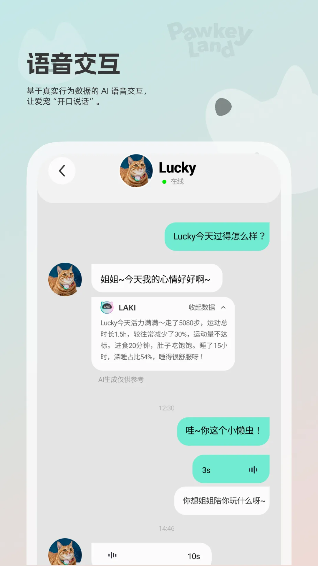 帕奇宠 帕奇宠