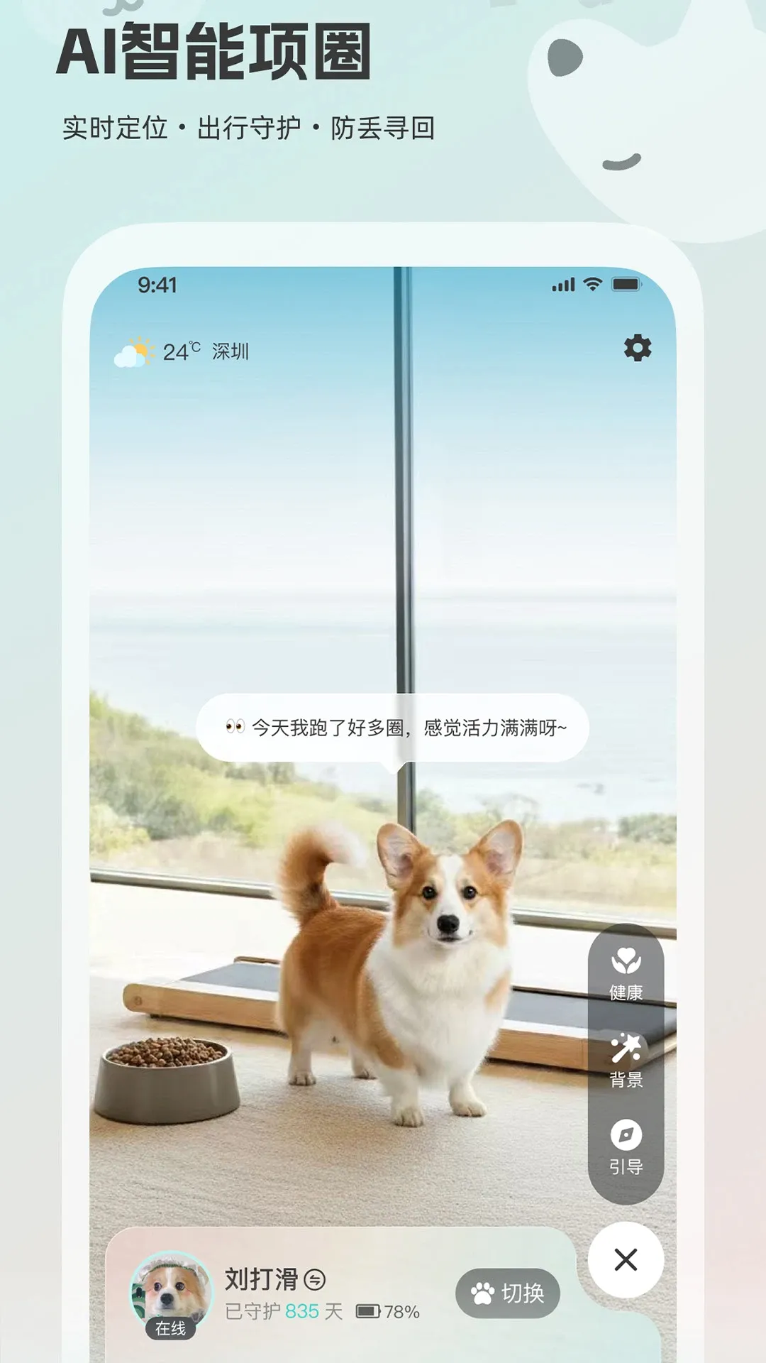 帕奇宠 帕奇宠