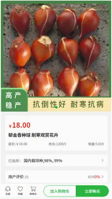 �״���ҵ2026�ٷ����°汾v1.0.2 ��׿��