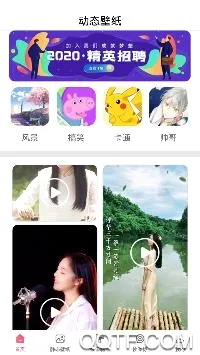 精灵动态壁纸最新手机版 精灵动态壁纸最新手机版