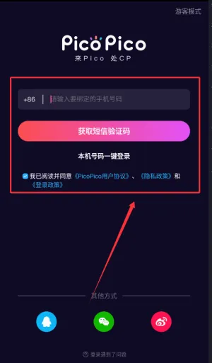 PicoPico2026官方最新版本 PicoPico2026官方最新版本