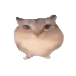 �ͰͲ�һ����v1.0 �ֻ���