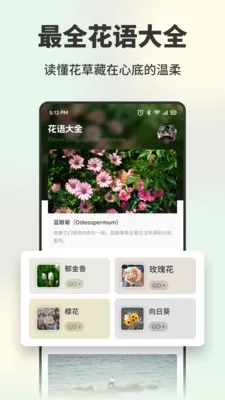 �������������ֻ���v1.1 �ֻ���