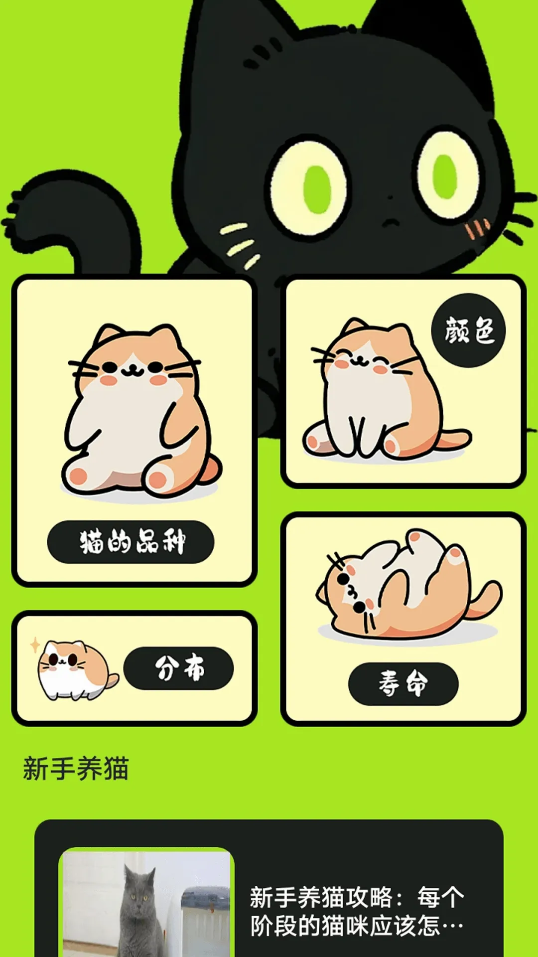 村庄叮叮猫v1.2 安卓版