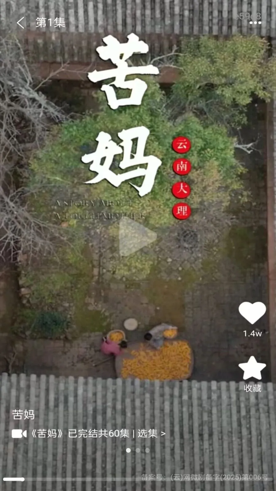 �춶��Ѷ̾�2026���°汾v1.0.0 �ֻ���