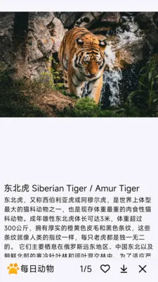 ÿ�ն���2026�ٷ����°汾v1.0.0 ��׿��
