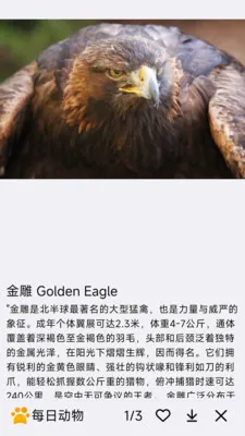 ÿ�ն���2026�ٷ����°汾v1.0.0 ��׿��