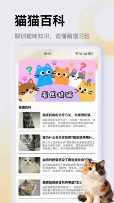 ����è��app�����ֻ���v1.1 �ֻ���