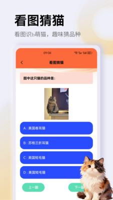 ����è��app�����ֻ���v1.1 �ֻ���