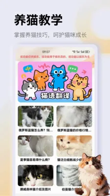 ����è��app�����ֻ���v1.1 �ֻ���