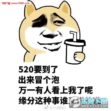 �������ȫv4.0.6 �ֻ���