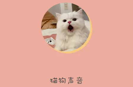哆啦猫狗翻译器最新手机版 哆啦猫狗翻译器最新手机版