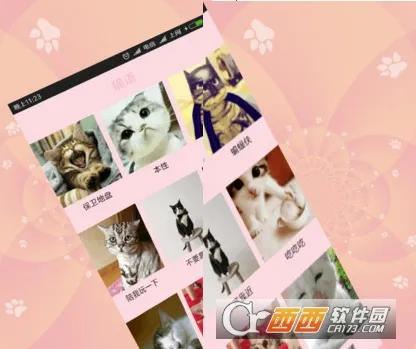 人猫狗交流器 人猫狗交流器