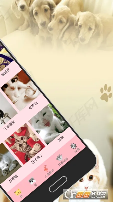 人猫狗交流器 人猫狗交流器
