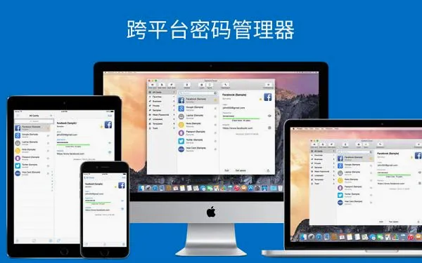 safeincloudpro safeincloudpro