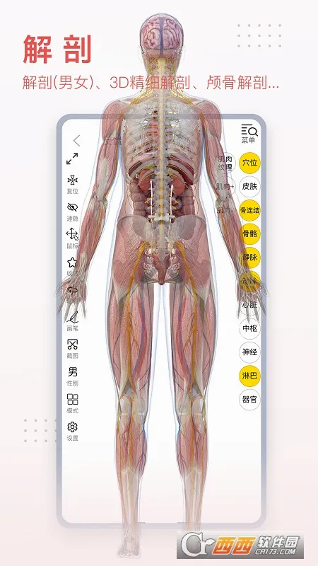 3dbody�������appv8.9.21 ��׿��