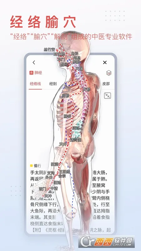 3dbody�������appv8.9.21 ��׿��