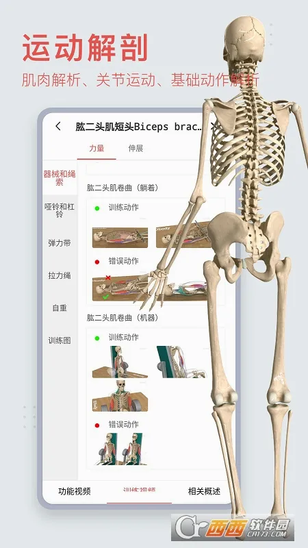 3dbody�������appv8.9.21 ��׿��