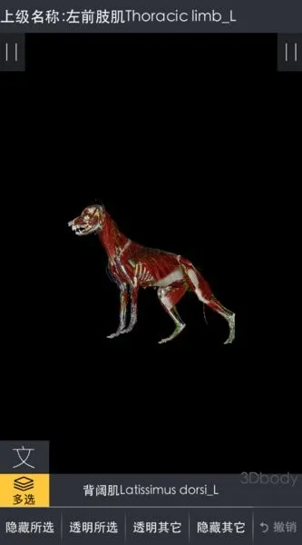 3dbody宠物解剖app 3dbody宠物解剖app