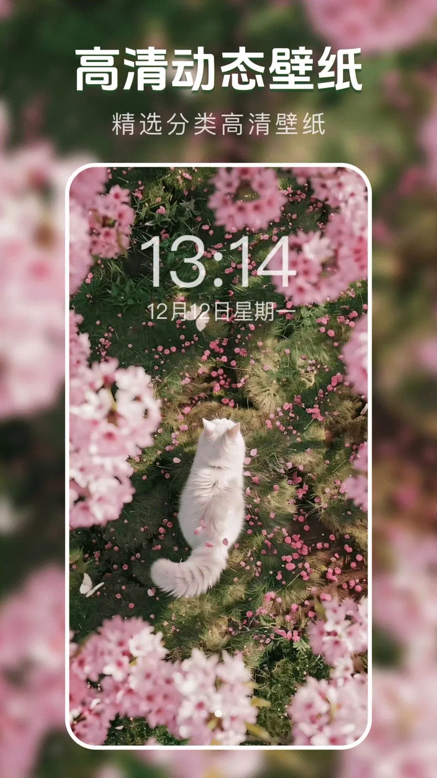 ��̬�����ֽ�������ֻ���v1.0.0 ��׿��
