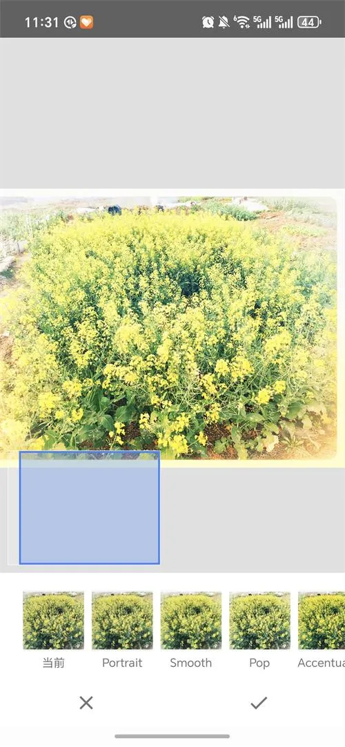 BetterSeedv2.22.0.633363672 ��׿��