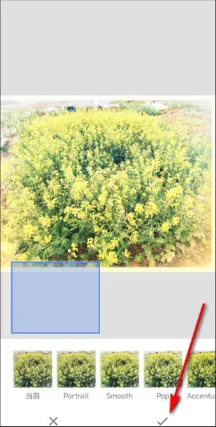 BetterSeed