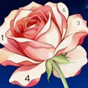 数字涂色书v2.0.3 安卓版