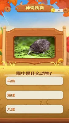 һ���ͻ�2026�ٷ����°汾v1.0.3 ��׿��