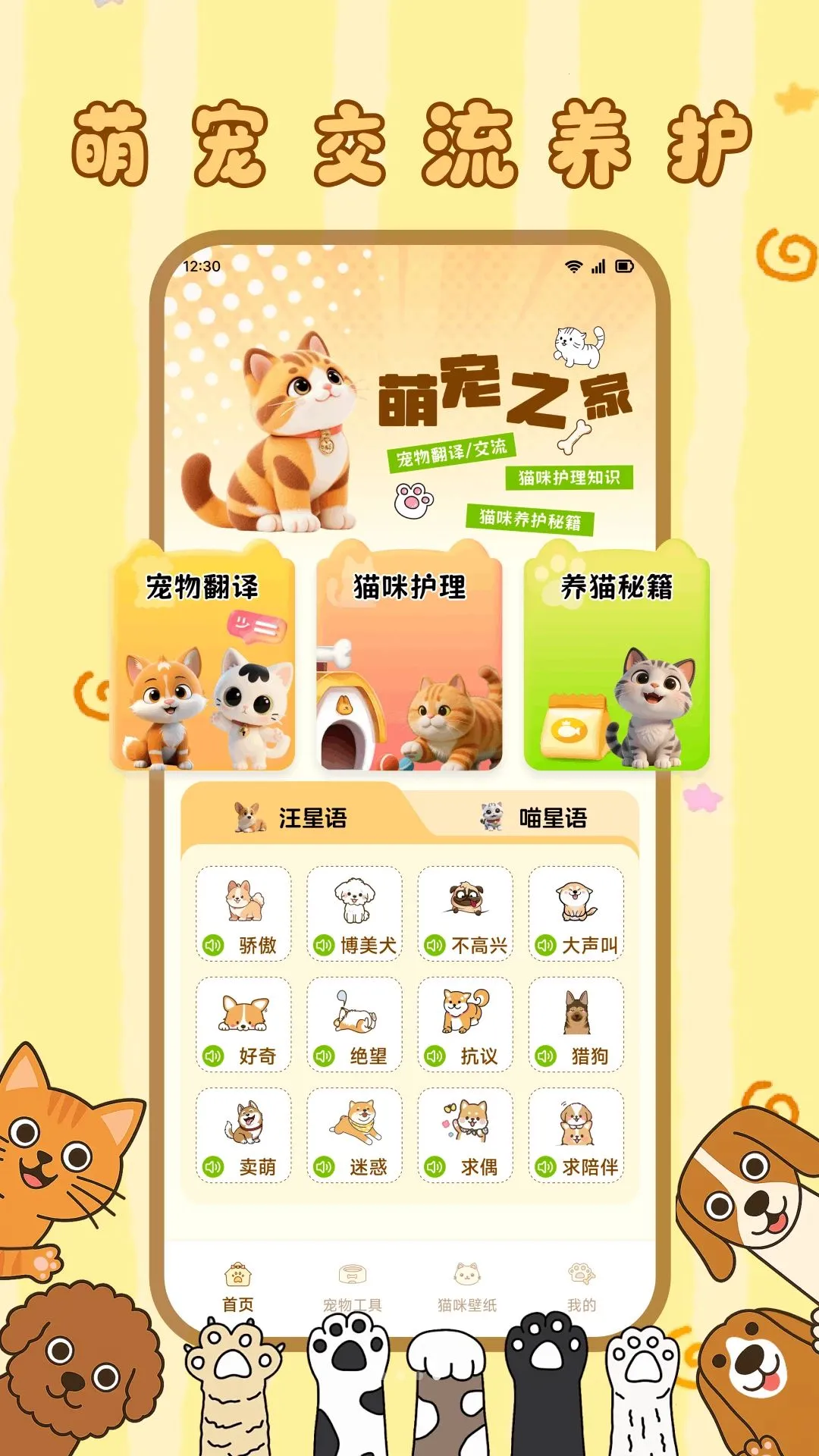 ����С��è2026���°汾v1.1 �ֻ���