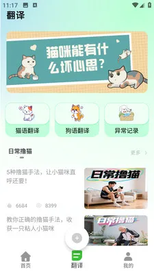 PEPPYCATè��ռ�2026�ٷ����°汾v2.0.0 �ֻ���