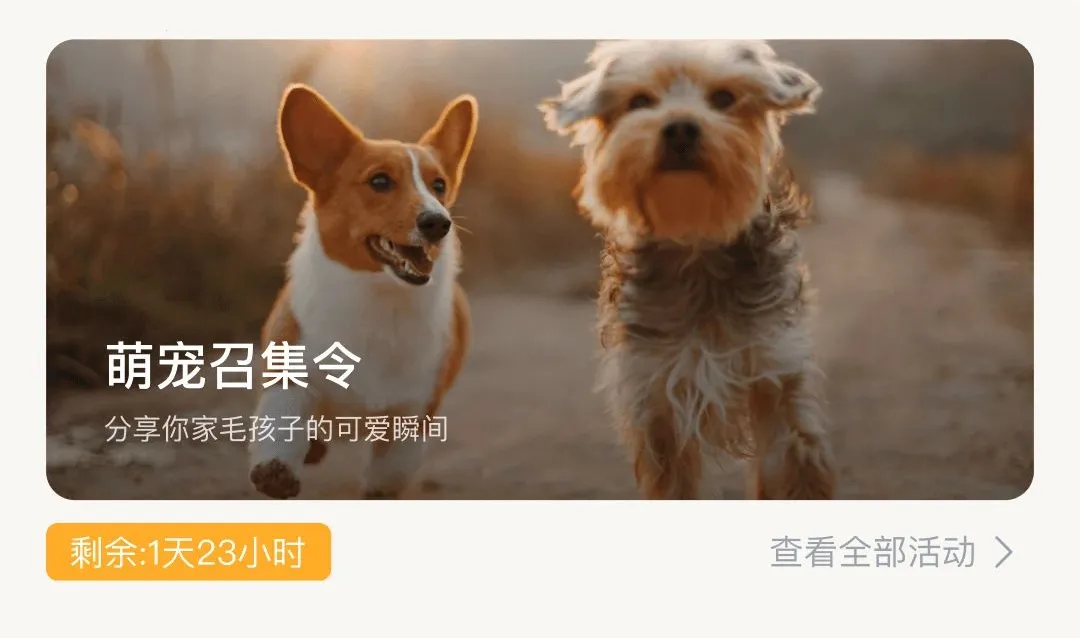 �޻�APP2026�ٷ����°汾v1.0.6 ��׿��