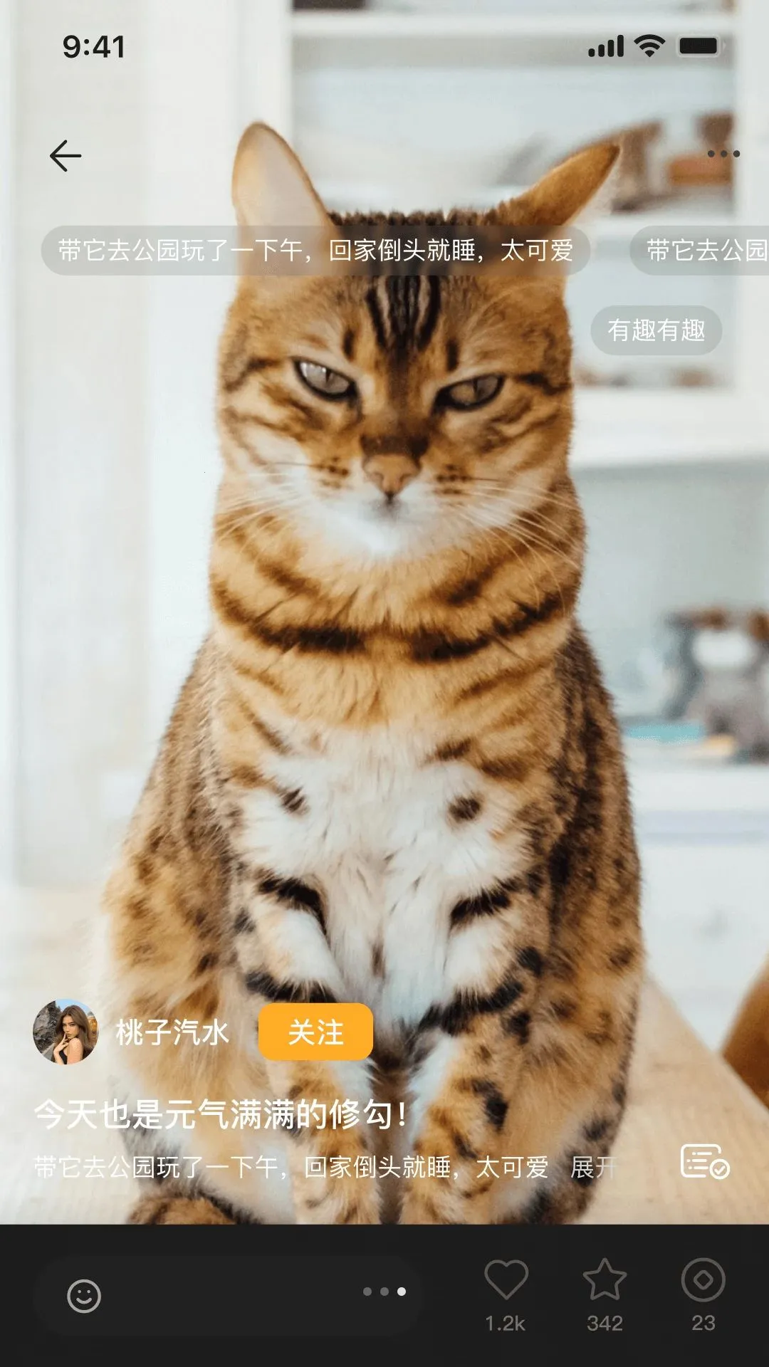 �޻�APP2026�ٷ����°汾v1.0.6 ��׿��