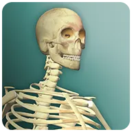 ��������2����2026���°汾v3.1 �ֻ���