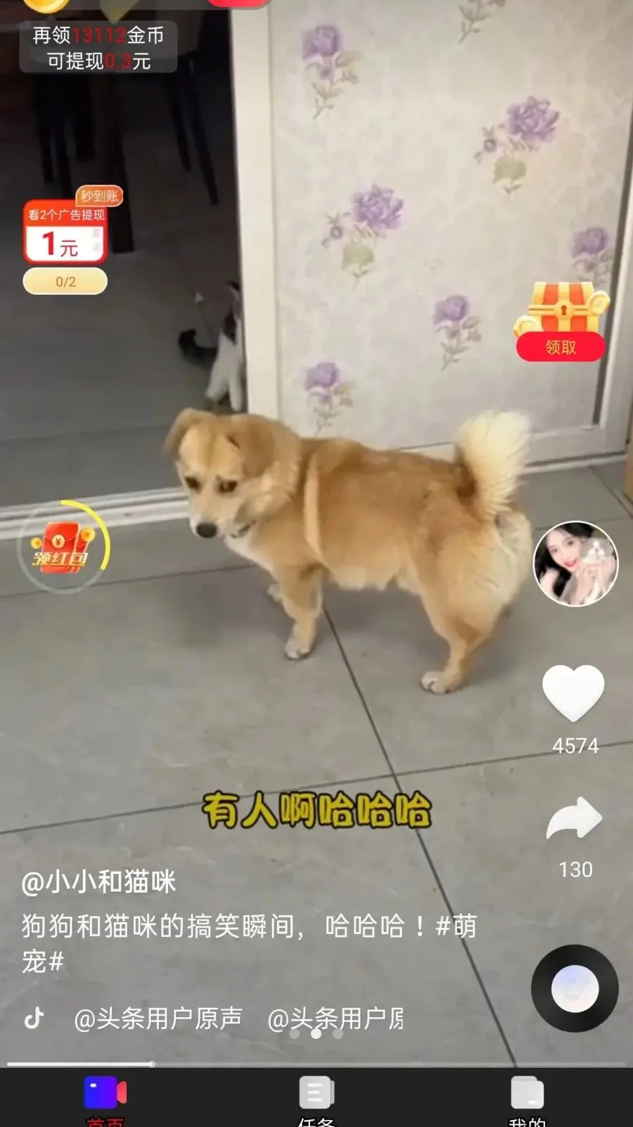 ��ӯ����2026�ٷ����°汾v1.0.1 �ֻ���