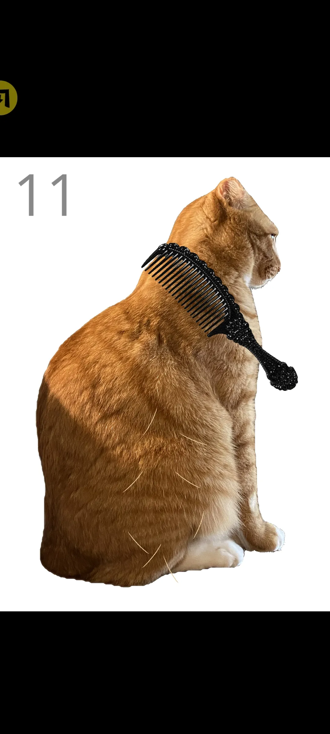 ��è��ëv1.0 ��׿��