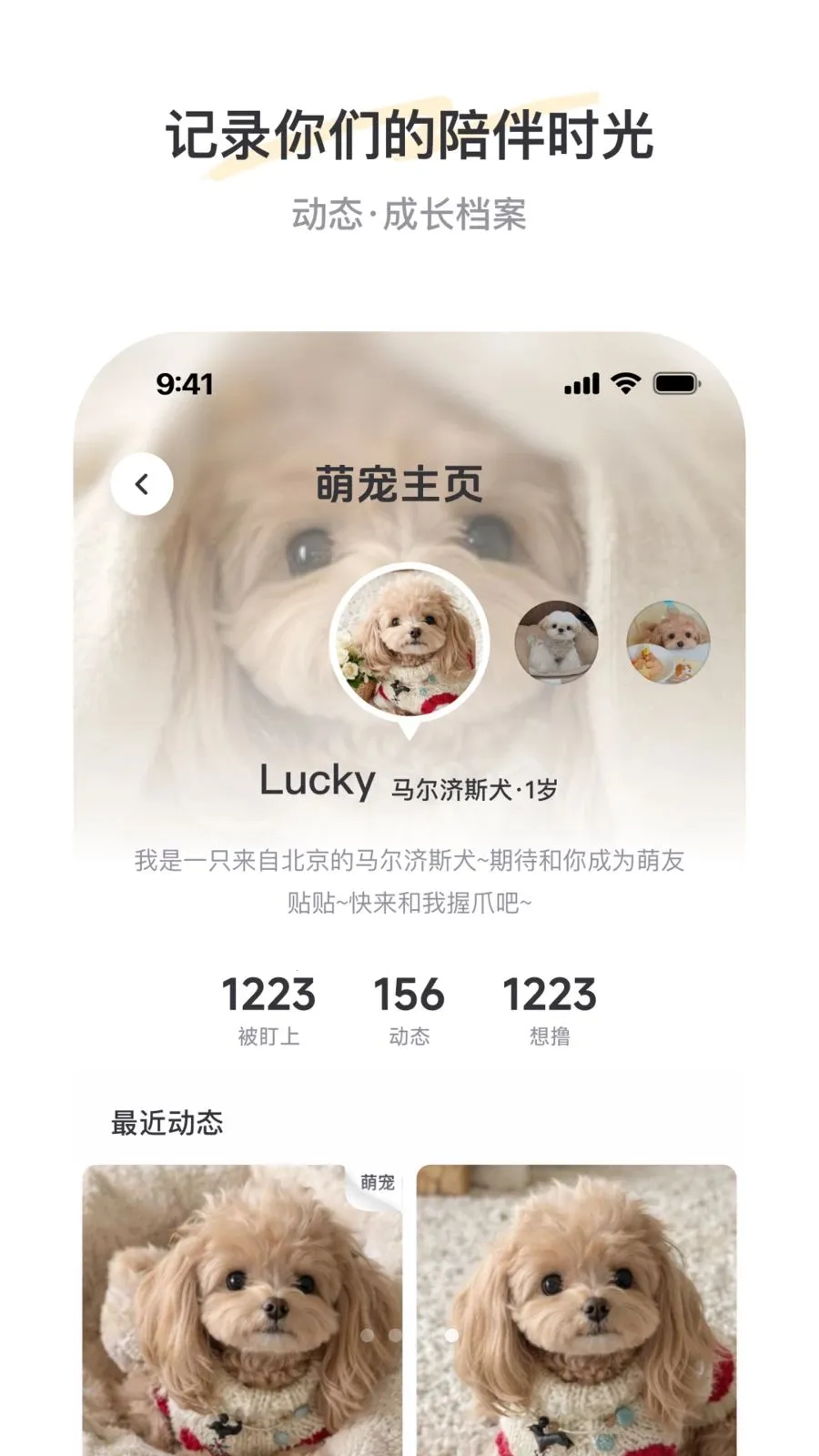 PetSpace2026���°汾v2.3.1 �ֻ���