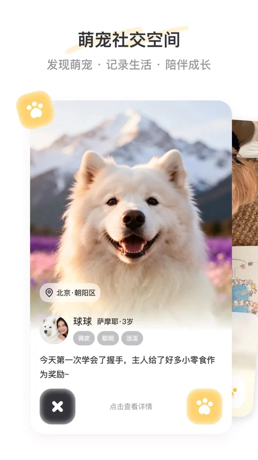 PetSpace2026���°汾v2.3.1 �ֻ���