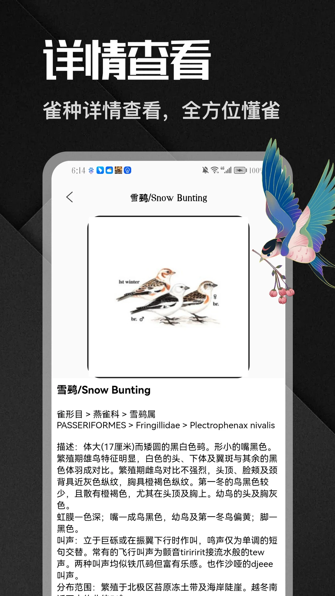 八方来雀最新手机版v5.1 手机版