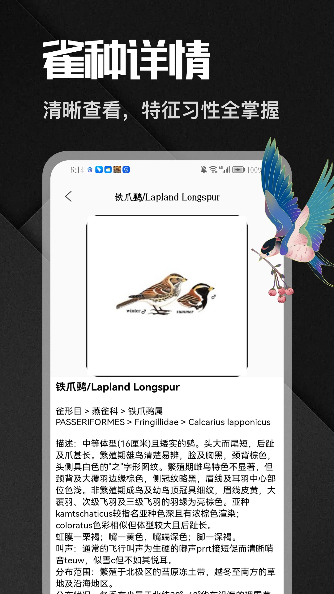 八方来雀最新手机版v5.1 手机版