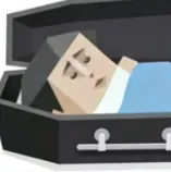 SBTI测试v1.1.1 手机版