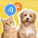 猫狗动物交流神器v1.0.2 手机版