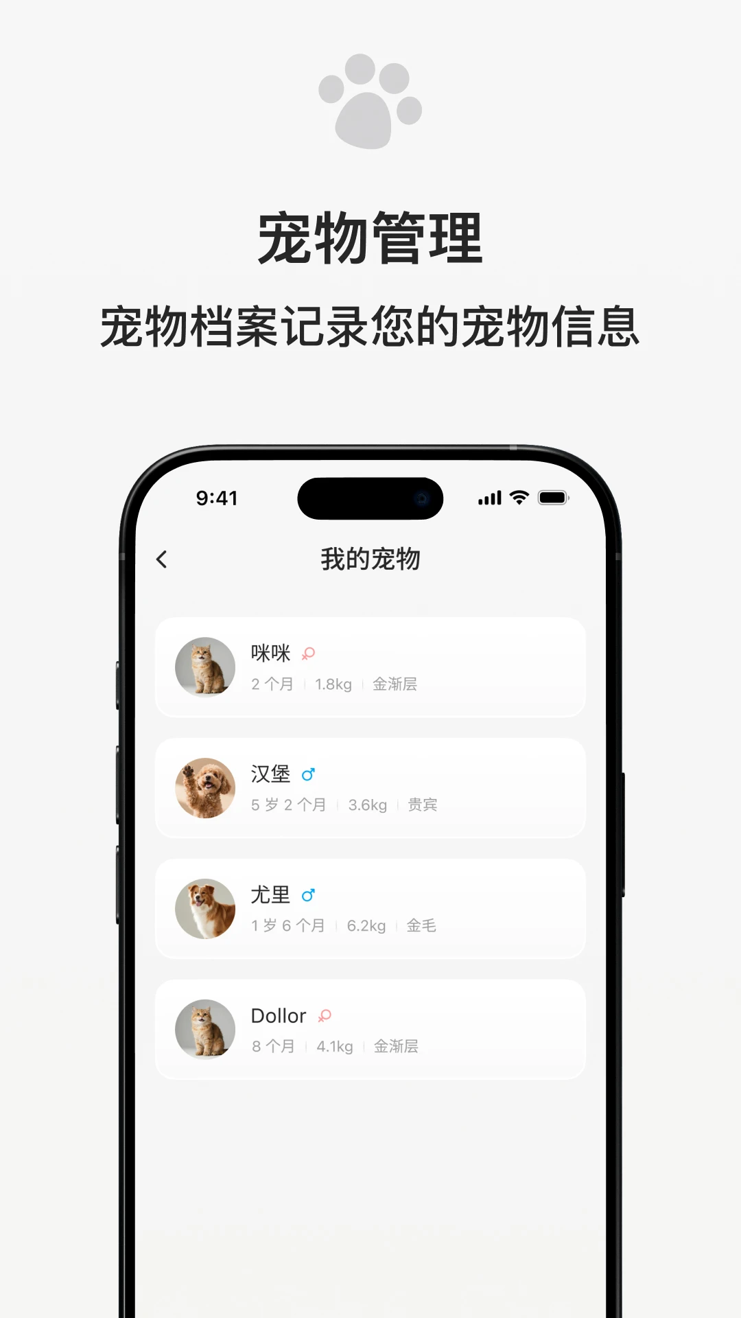 宠小吉2026官方最新版本 宠小吉2026官方最新版本